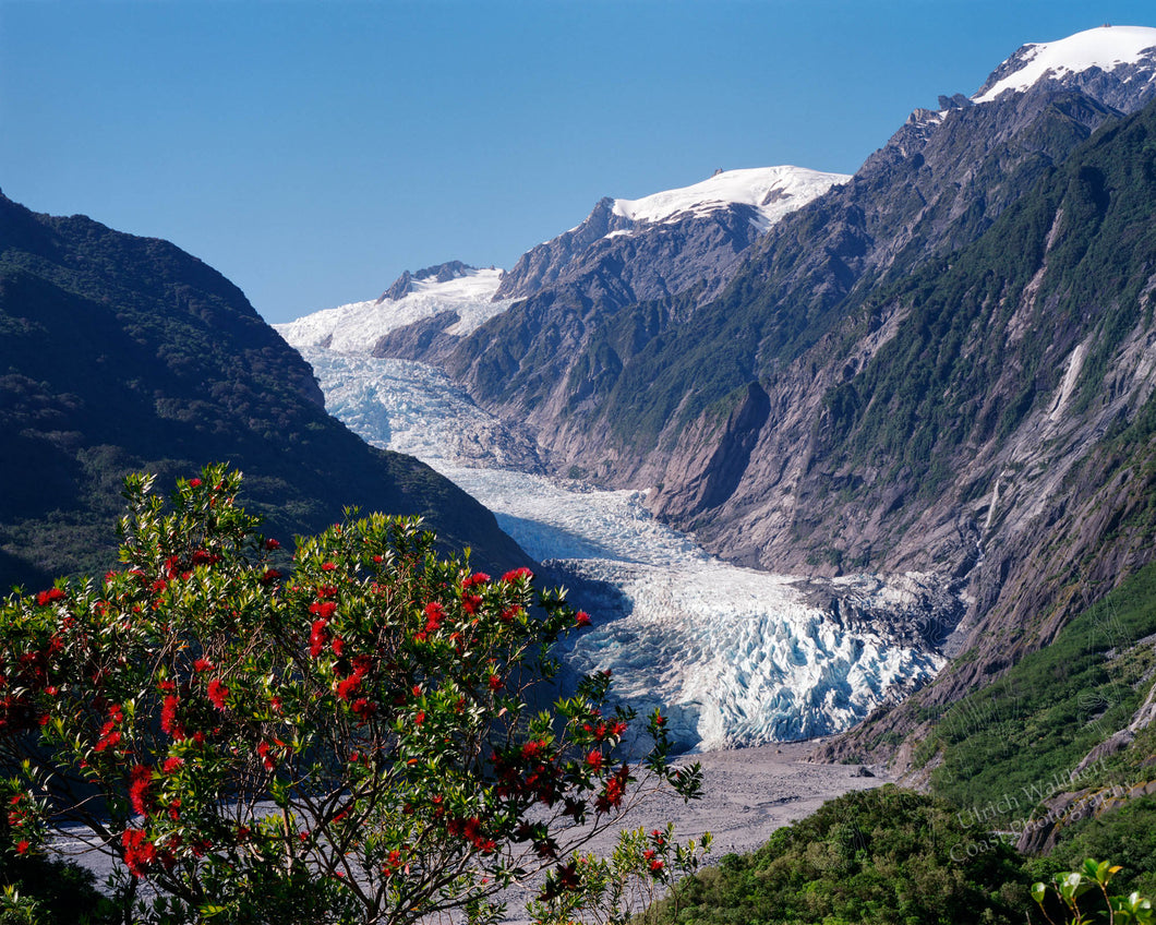 Franz Josef Glacier 1