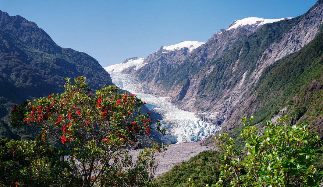 Franz Josef Glacier 4