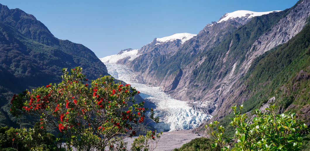 Franz Josef Glacier 7