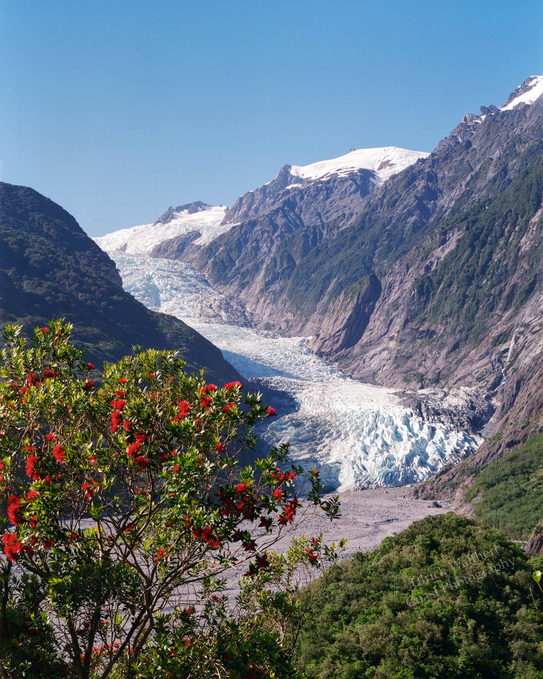 Franz Josef Glacier 11