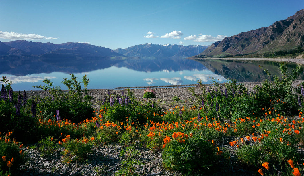 Lake Hawea Gladstone 4