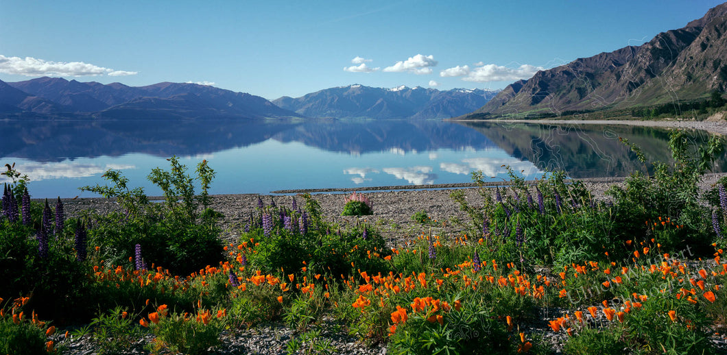 Lake Hawea Gladstone 7